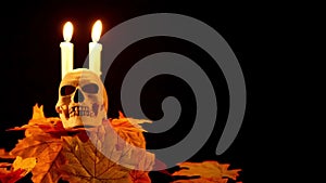 Halloween prop skul and candle on black background animation