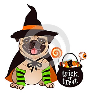 Halloween pug dog vector cartoon illustration. Cute chubby sitting pug puppy in witch costume with black hat and cape, cauldron t