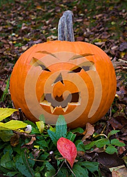 Halloween pumpkin