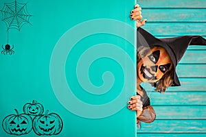 Halloween Pumpkin Autumn Holiday Concept