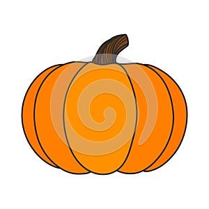 Pumpkin. Cute hand drawn illustration vector.