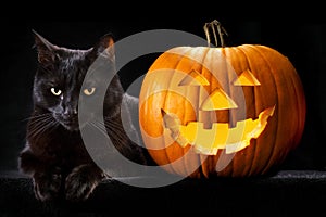 Halloween pumpkin black cat