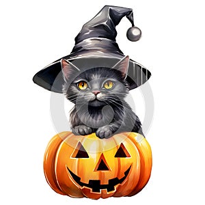 Halloween pumpkin and black cat wearing witch hat, Halloween watercolor clip art