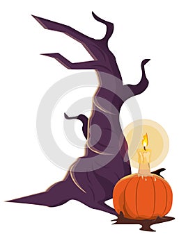 Halloween pumpkin with candle and tree