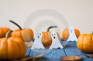 Halloween pumpkin with candlelight and bokeh background. A rustic autumn still life with pumpkins. Bright sunlight coming in from