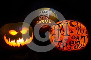 Halloween Pumpkin Display on a Black Background