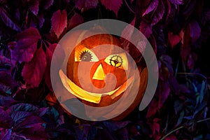 Halloween pumpkin with eyes made of clock gears, among the leaves of wild grapes