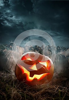 Halloween Pumpkin Field With a Grinning Jack O Lantern