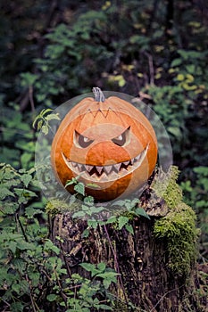 Halloween pumpkin with fiendish smile on scary trunk in forest