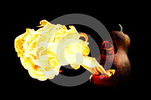 Halloween pumpkin on fire isolated on a black background