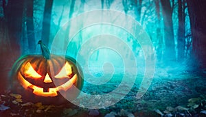 Halloween pumpkin in forest