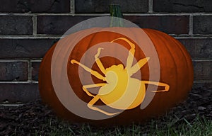 Halloween Pumpkin With Glowing Spider