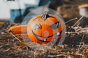 Halloween pumpkin in the hay. scary jack head. western american tradition.