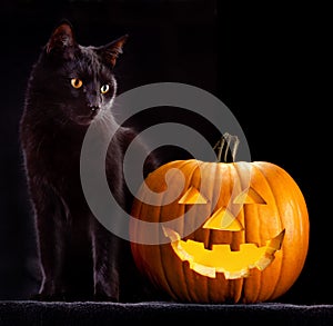 Halloween pumpkin head and black cat