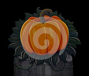 Halloween pumpkin. Isolated on black background