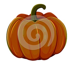Halloween pumpkin. Isolated on white background