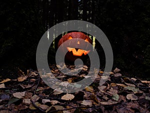 Halloween pumpkin lantern in leaves near trees.