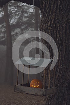 Halloween pumpkin lies in feeder in autumn forest