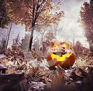 Halloween pumpkin in the park