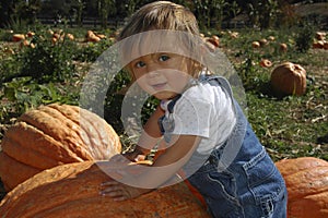 Halloween pumpkin scarecrow