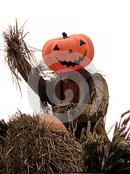 Halloween - Pumpkin Scarecrow