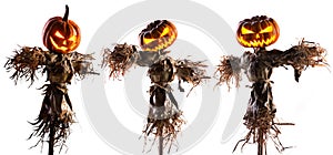 Halloween pumpkin scarecrow isolated on white background