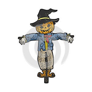 halloween pumpkin scarecrow sketch vector