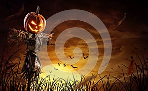 Halloween pumpkin scarecrow on a wide field with the moon on a scary night