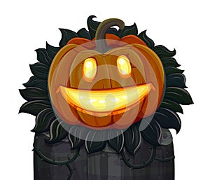 Halloween pumpkin is smiling. Isolated on white background