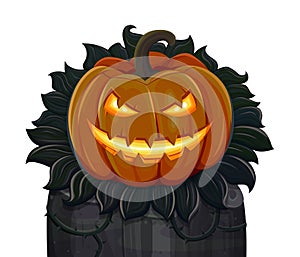 Halloween pumpkin is smiling. Isolated on white background