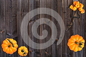 Halloween pumpkin spider flatlay on brown wood background