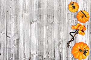 Halloween pumpkin spider flatlay wood background