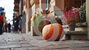 Halloween pumpkin on a sunny autumn street