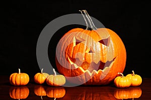 Halloween pumpkin and tiny pumpkins