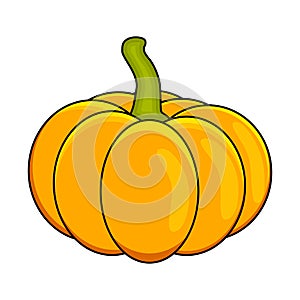 Halloween pumpkin vector illustration isolated on white background.