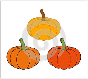 Halloween pumpkin vector illustration set isolated on white background.