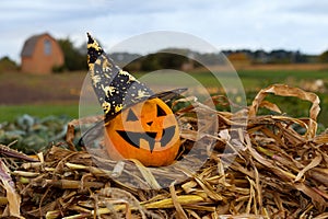 Halloween pumpkin in whitch hain in the garden