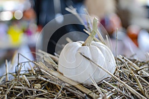 Halloween pumpkin. White pumpkin on a background of hay in a rustic style. Background for Halloween. Place for text