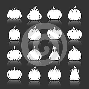 Halloween Pumpkin white silhouette icon set