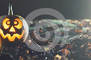 Halloween pumpkin at wood background. October holiday.