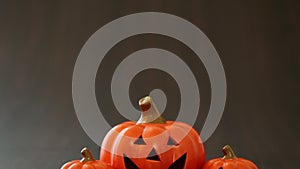 Halloween pumpkin on wooden background