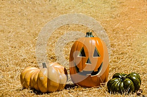 Halloween Pumpkins background