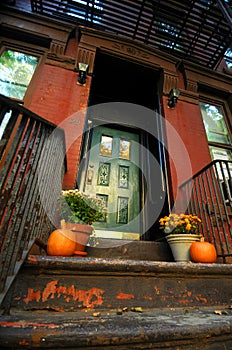 Halloween Pumpkins by doorway photo