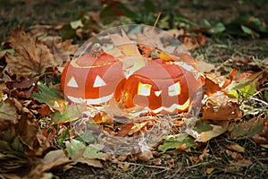 Halloween pumpkins with dry leaves in autumn park