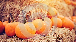 Halloween pumpkins on hay
