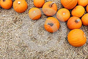 Halloween pumpkins on hay