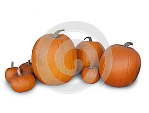 Halloween Pumpkins isolated on white background photo