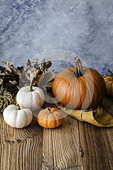 Halloween pumpkins Jack oâ€™ Lantern decoration