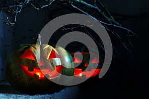 Halloween Pumpkins under a branch at night