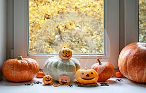 Halloween pumpkins by window at home. Vegetables set, sweets and decorations on white windowsill